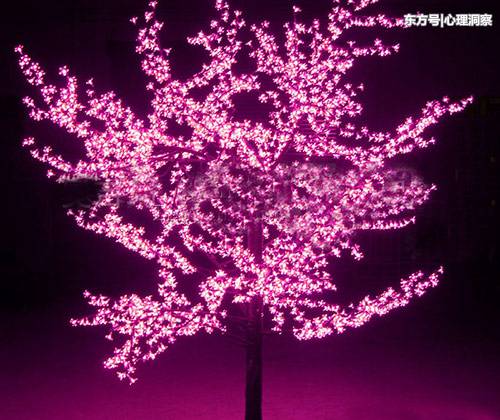 a:你隐藏的优点是纯洁的内心